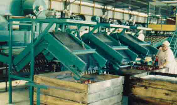 Llenadores de Bins Autom�ticos