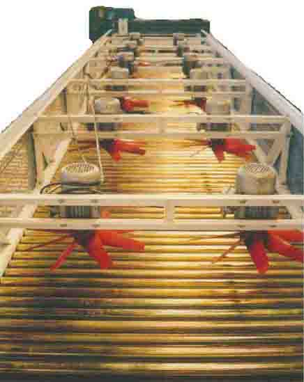 Interior T�nel de Secado